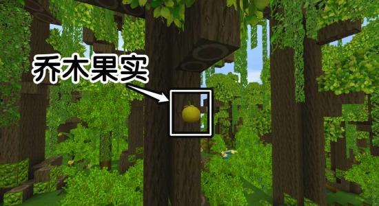 迷你小雨林爆料视频大全,揭秘神秘视频大全背后的奇幻世界